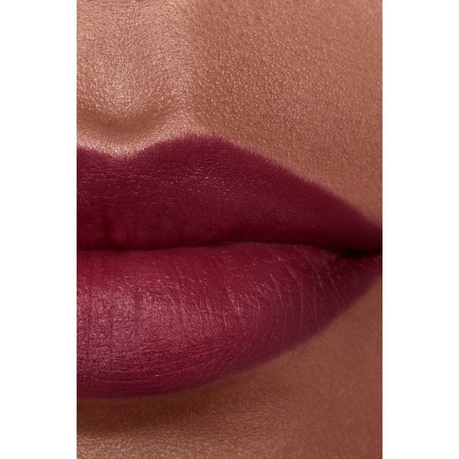 LA BARRA DE LABIOS ATERCIOPELADA LUMINOSA
